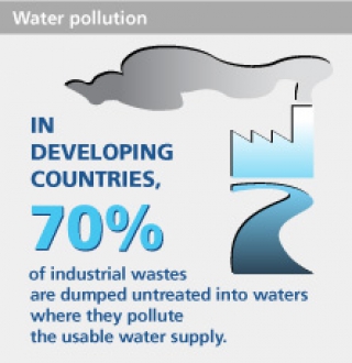 Industrial Pollution in Developing countries